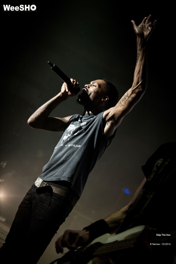 10/50 photos du spectacle Skip The Use
