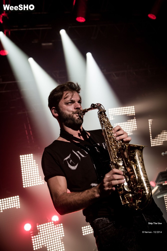 11/50 photos du spectacle Skip The Use