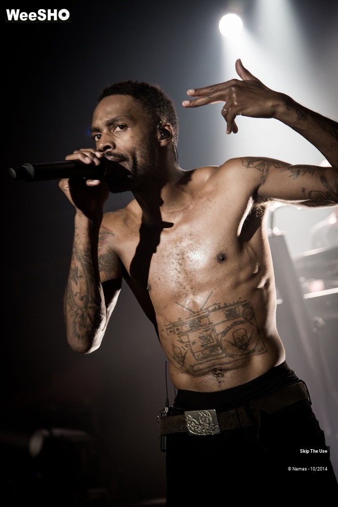 12/50 photos du spectacle Skip The Use