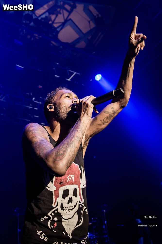 16/50 photos du spectacle Skip The Use