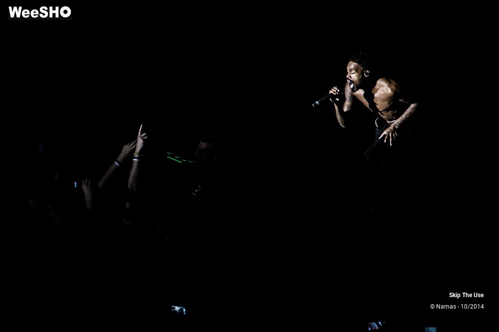 18/50 photos du spectacle Skip The Use