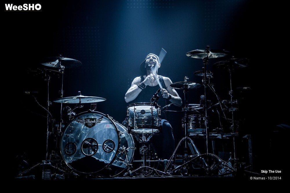 22/50 photos du spectacle Skip The Use