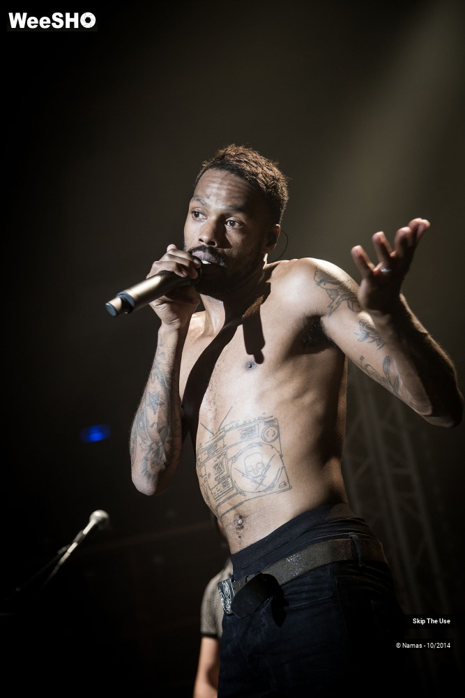 28/50 photos du spectacle Skip The Use