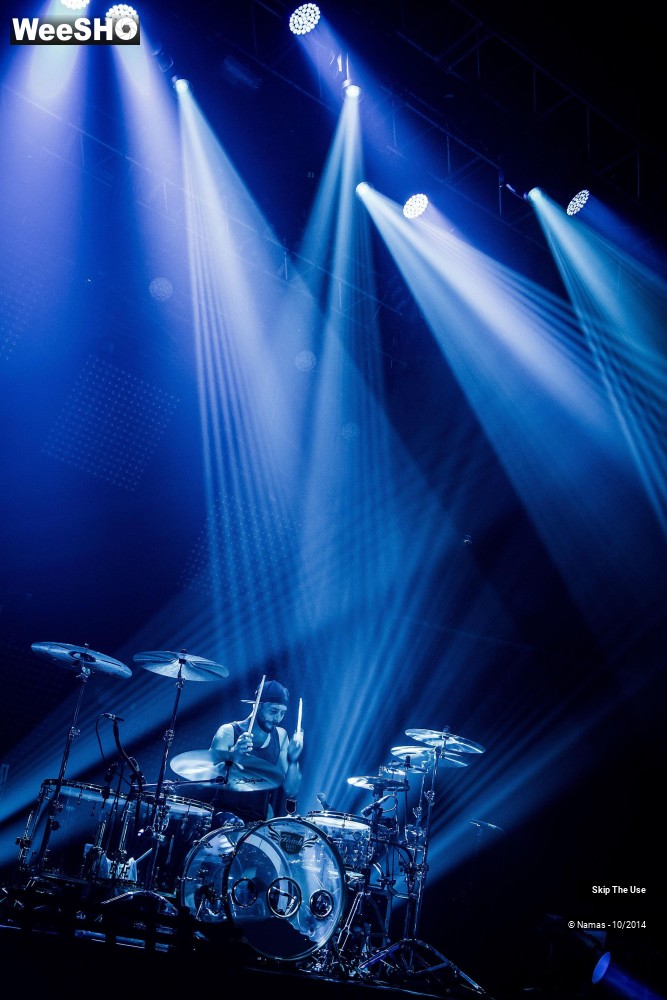 29/50 photos du spectacle Skip The Use