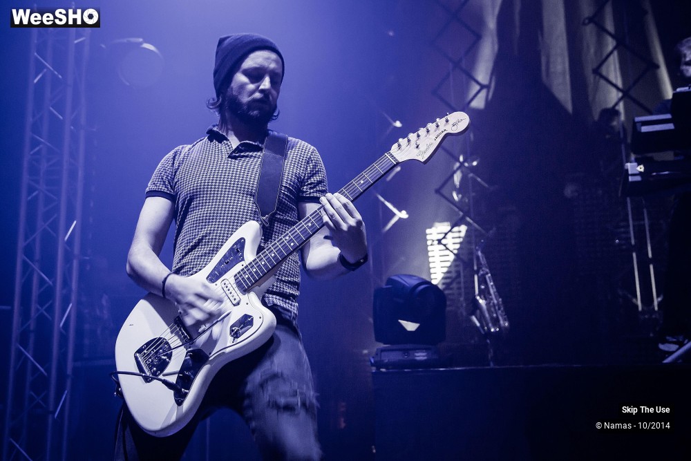 30/50 photos du spectacle Skip The Use