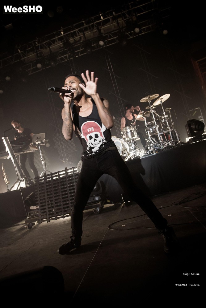39/50 photos du spectacle Skip The Use