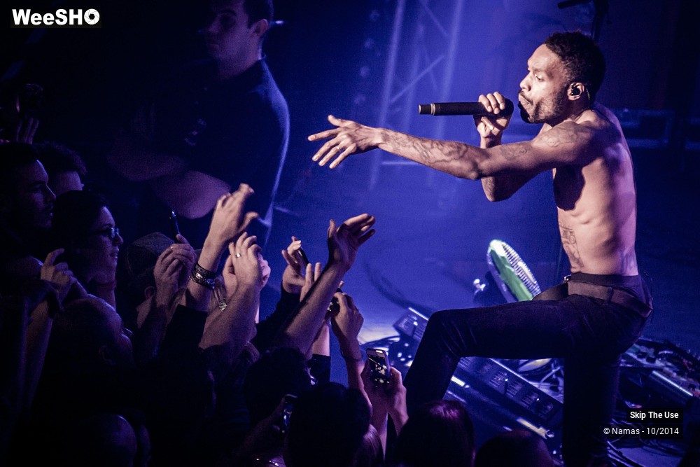 40/50 photos du spectacle Skip The Use