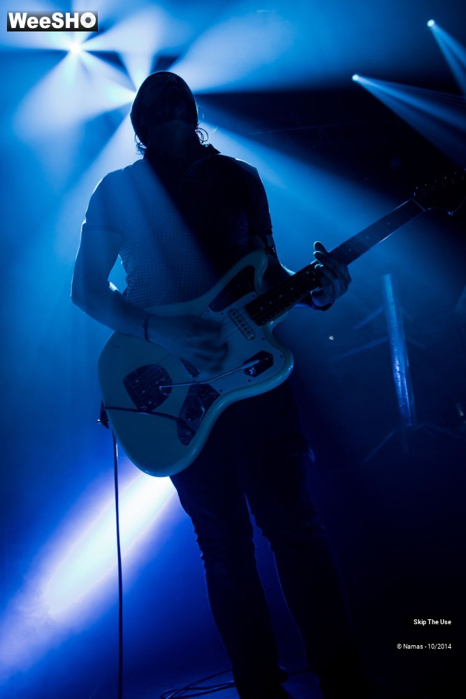 44/50 photos du spectacle Skip The Use