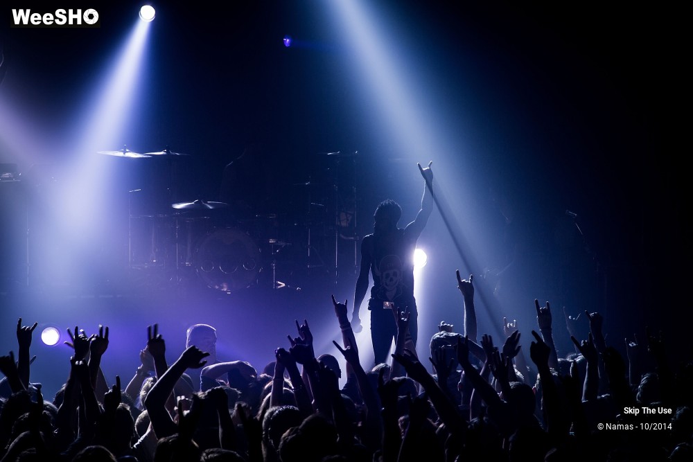 49/50 photos du spectacle Skip The Use
