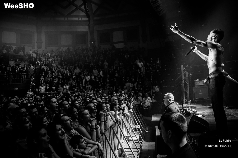 11/22 photos du spectacle Ambiance Skip The Use