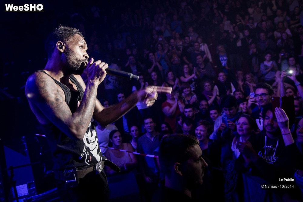 17/22 photos du spectacle Ambiance Skip The Use