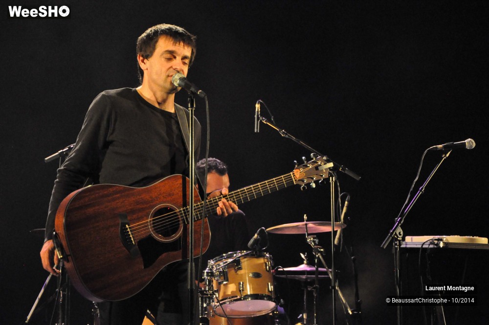 27/34 photos du spectacle Laurent Montagne