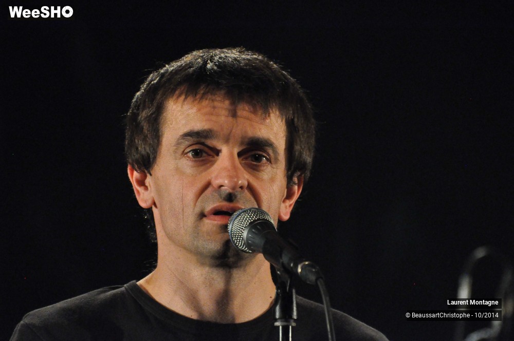 30/34 photos du spectacle Laurent Montagne