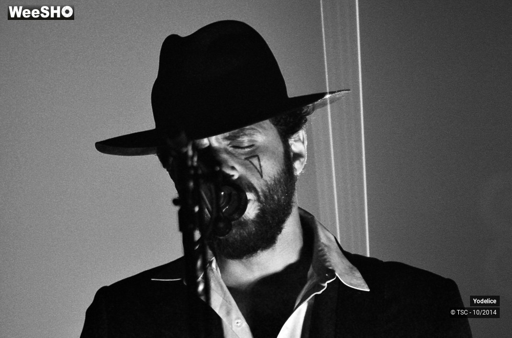 22/26 photos du spectacle Yodélice