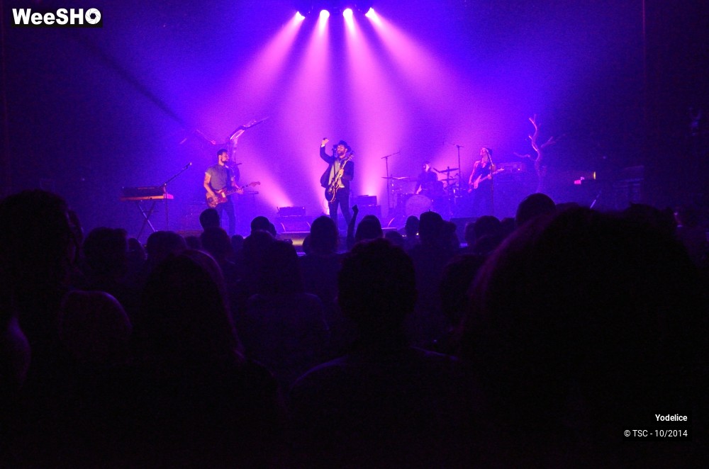 26/26 photos du spectacle Yodélice