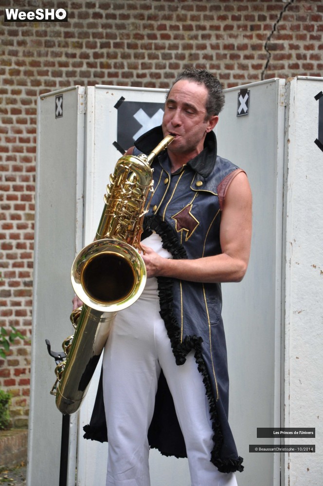 15/32 photos du spectacle Les Princes de l'Univers