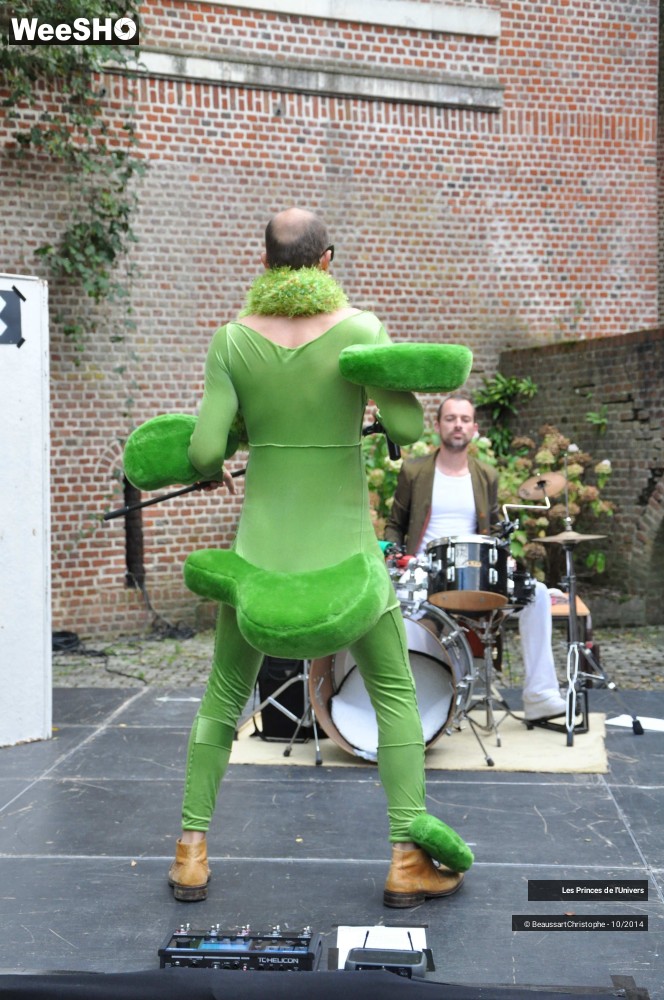 19/32 photos du spectacle Les Princes de l'Univers