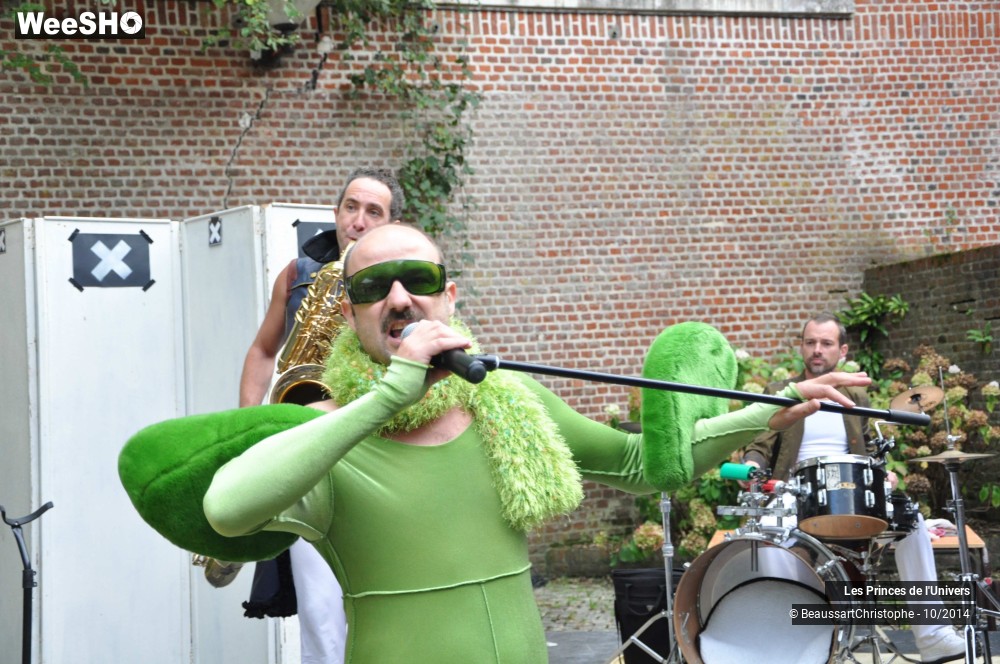 21/32 photos du spectacle Les Princes de l'Univers