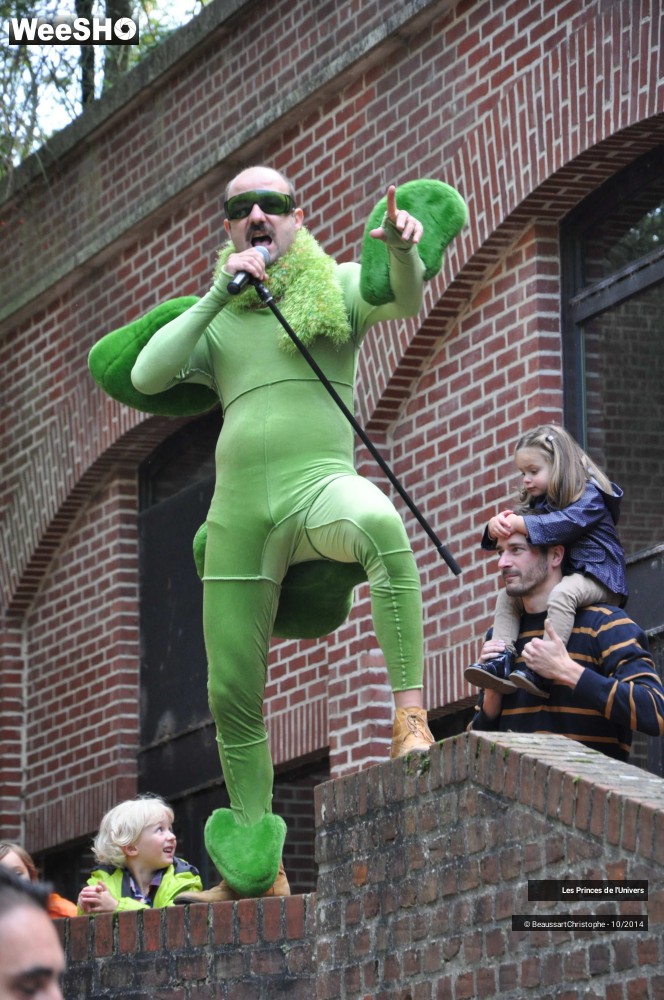 25/32 photos du spectacle Les Princes de l'Univers