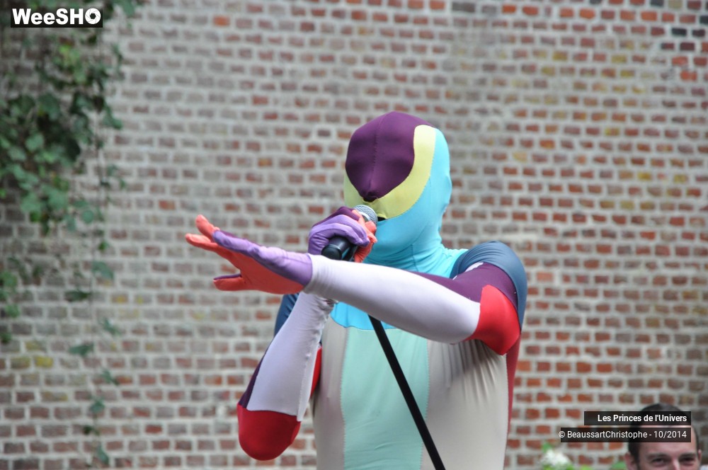 31/32 photos du spectacle Les Princes de l'Univers