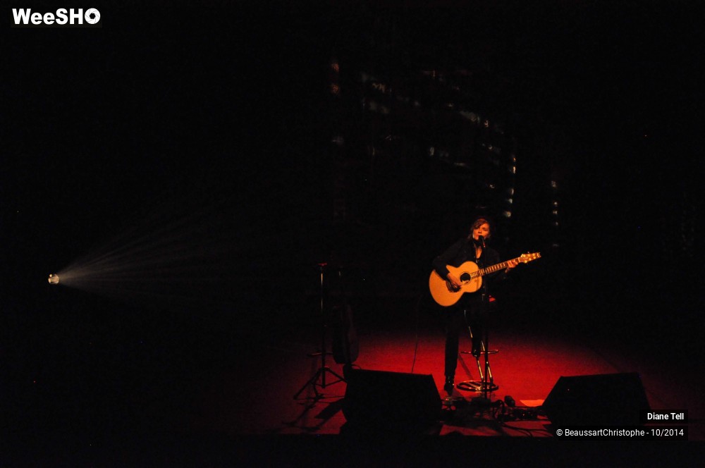 1/31 photos du spectacle Diane Tell