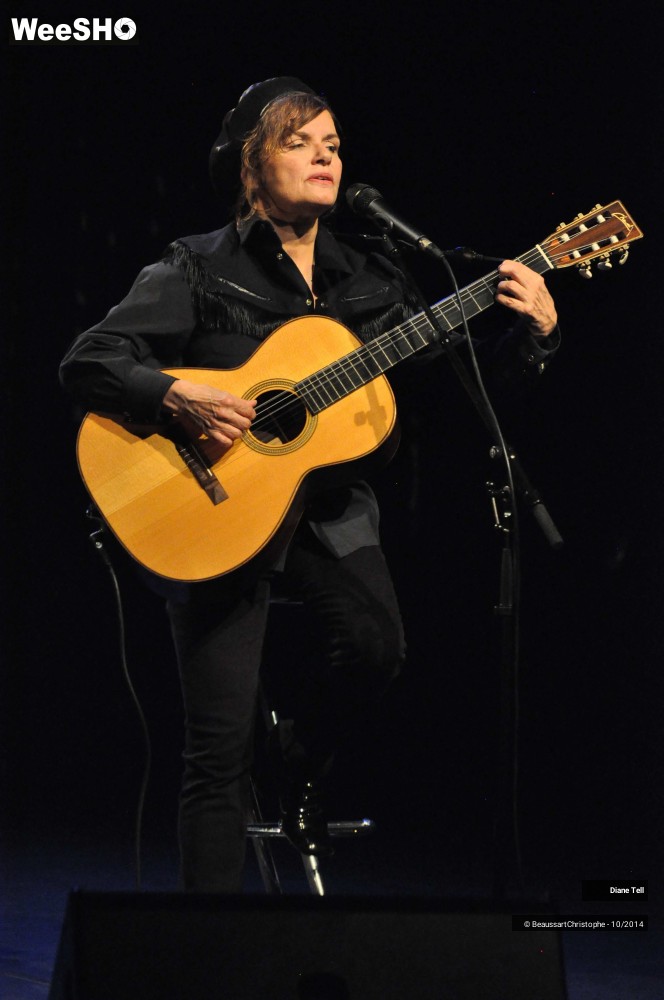 9/31 photos du spectacle Diane Tell