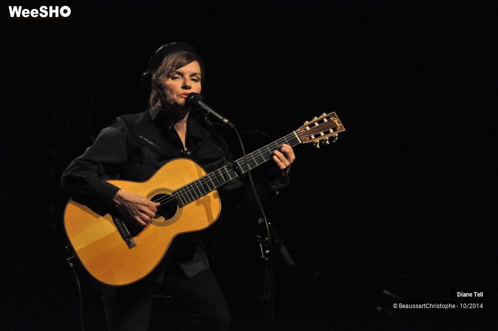 13/31 photos du spectacle Diane Tell