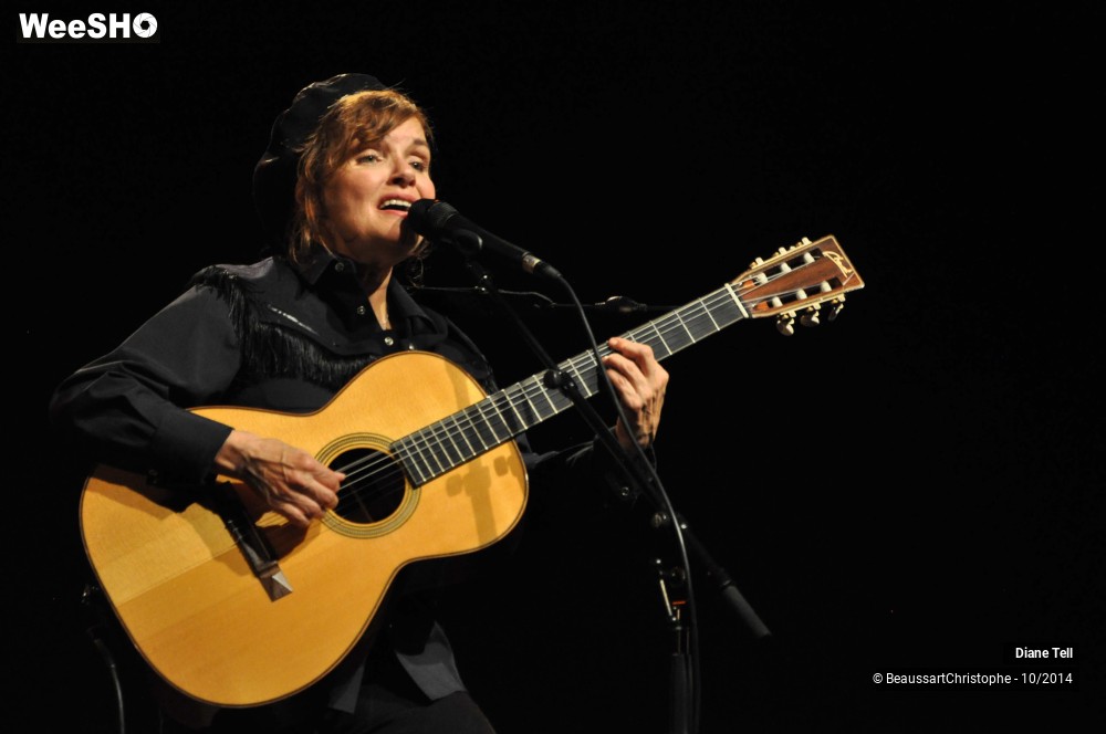 15/31 photos du spectacle Diane Tell