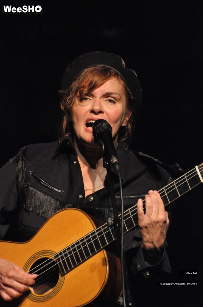19/31 photos du spectacle Diane Tell