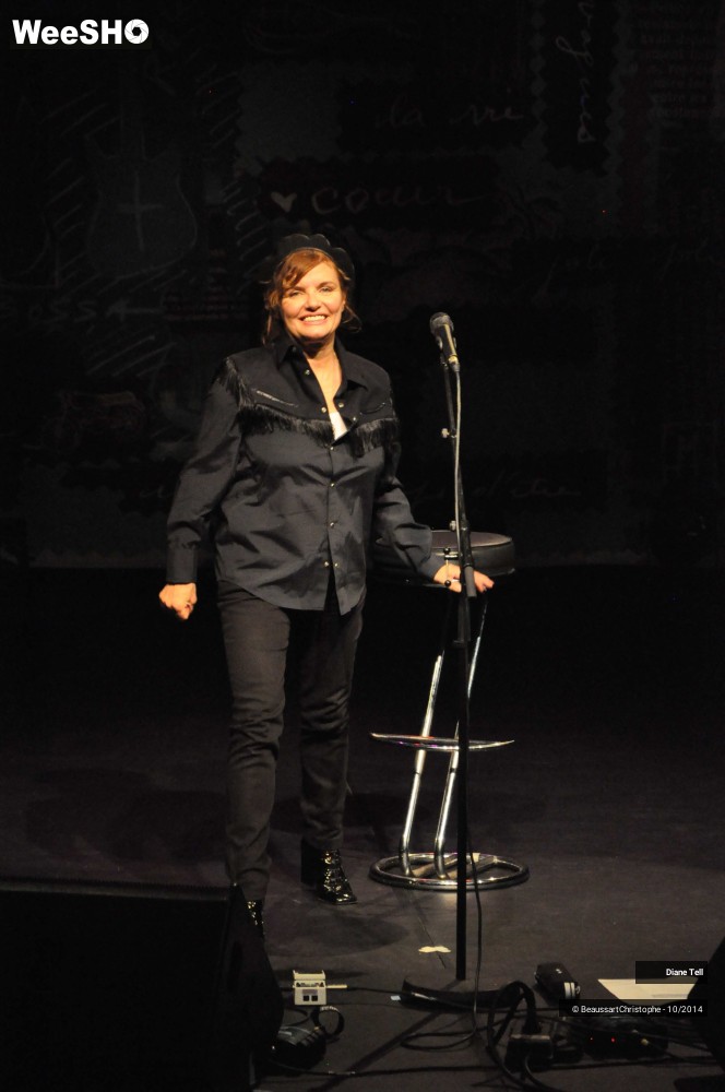 21/31 photos du spectacle Diane Tell