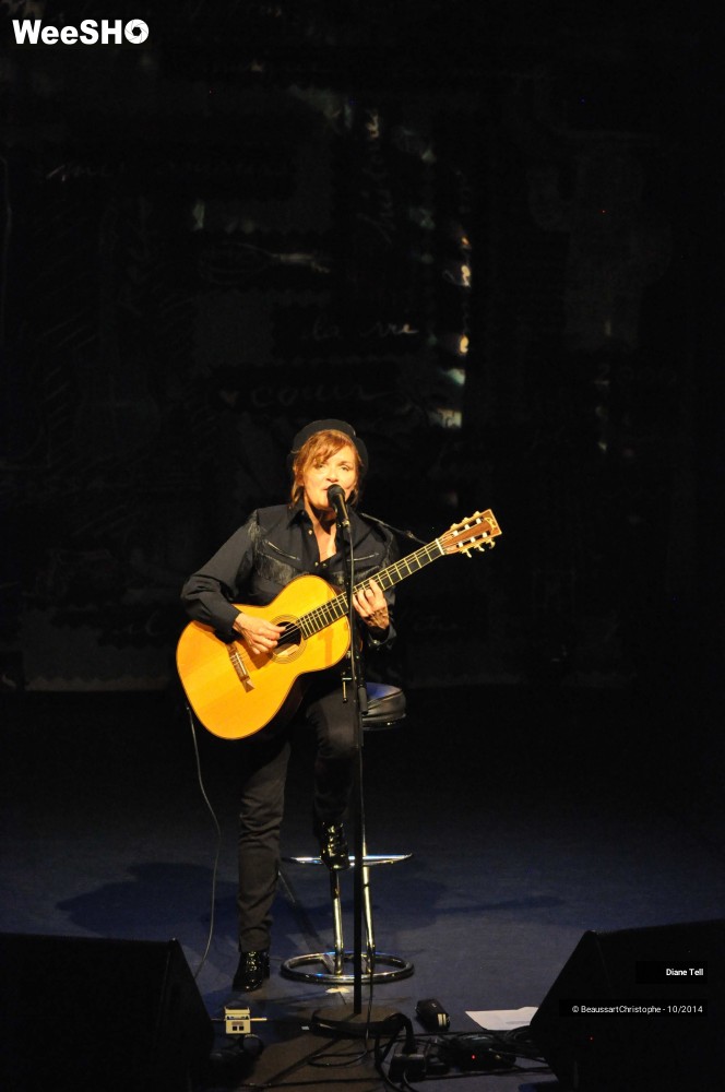 28/31 photos du spectacle Diane Tell
