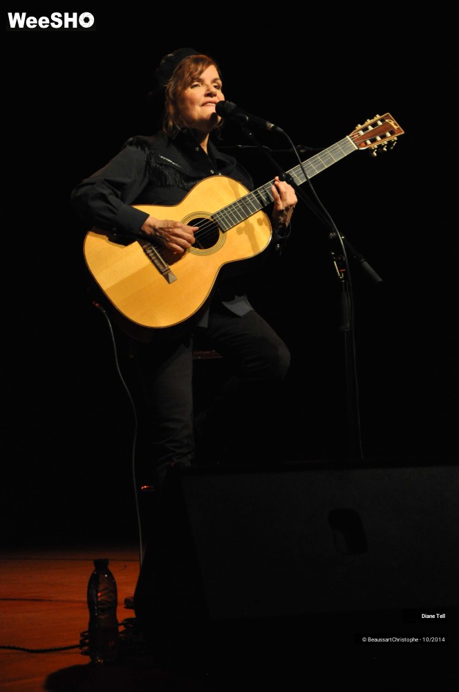 29/31 photos du spectacle Diane Tell