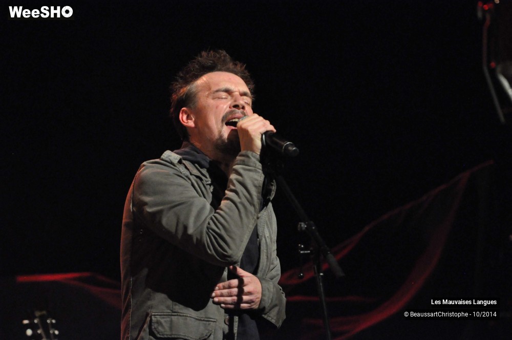 14/37 photos du spectacle Les Mauvaises Langues