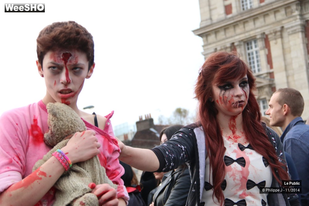 8/44 photos du spectacle Zombie Walk 2014 1