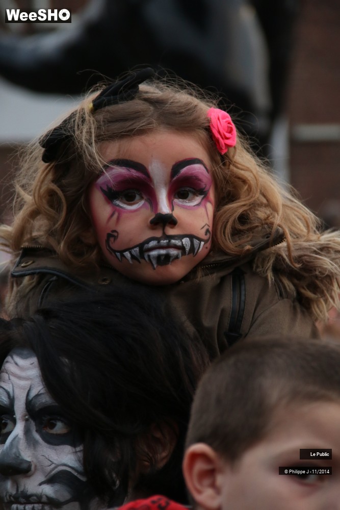 15/44 photos du spectacle Zombie Walk 2014 1