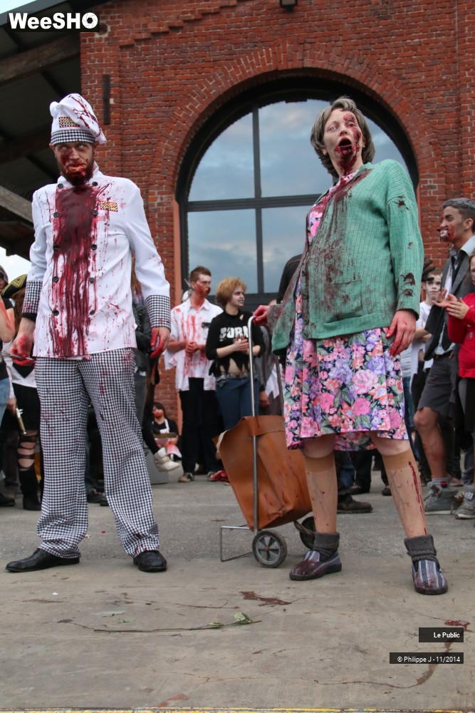 16/44 photos du spectacle Zombie Walk 2014 1