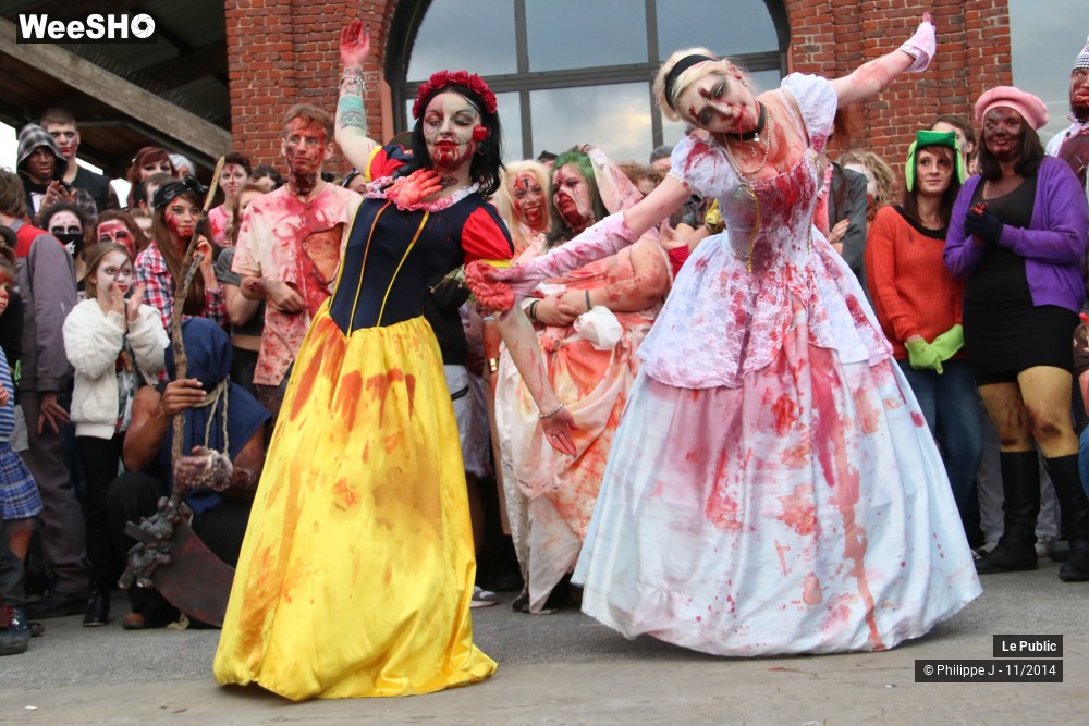17/44 photos du spectacle Zombie Walk 2014 1