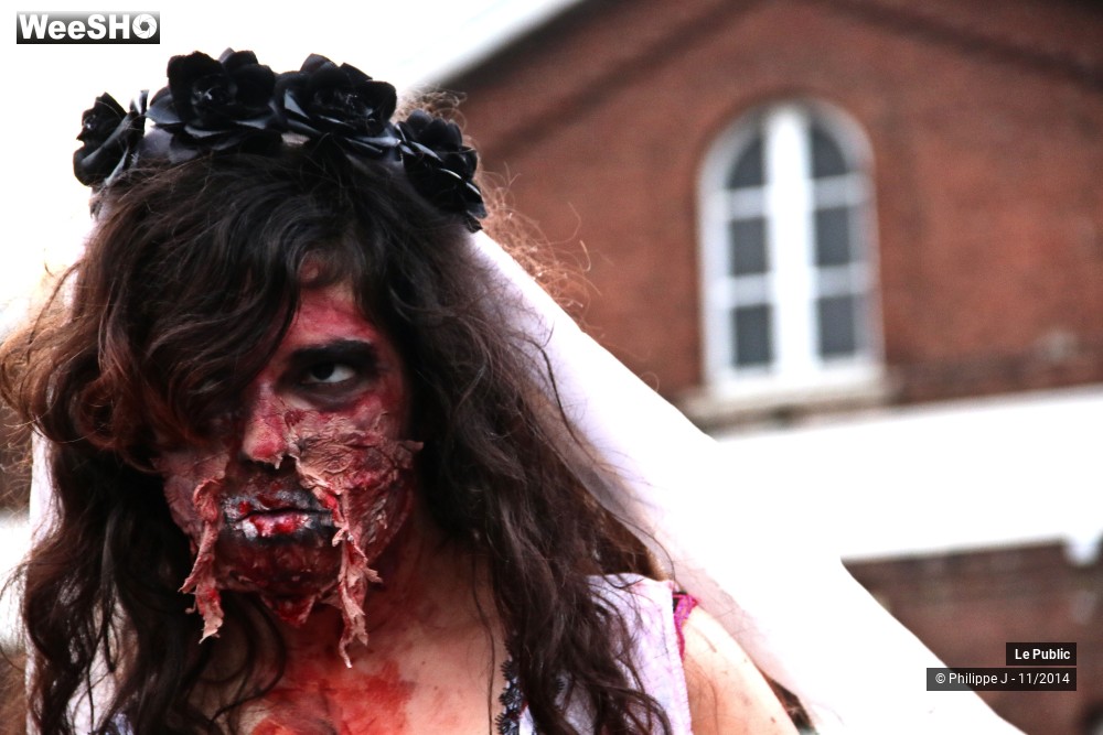 28/44 photos du spectacle Zombie Walk 2014 1