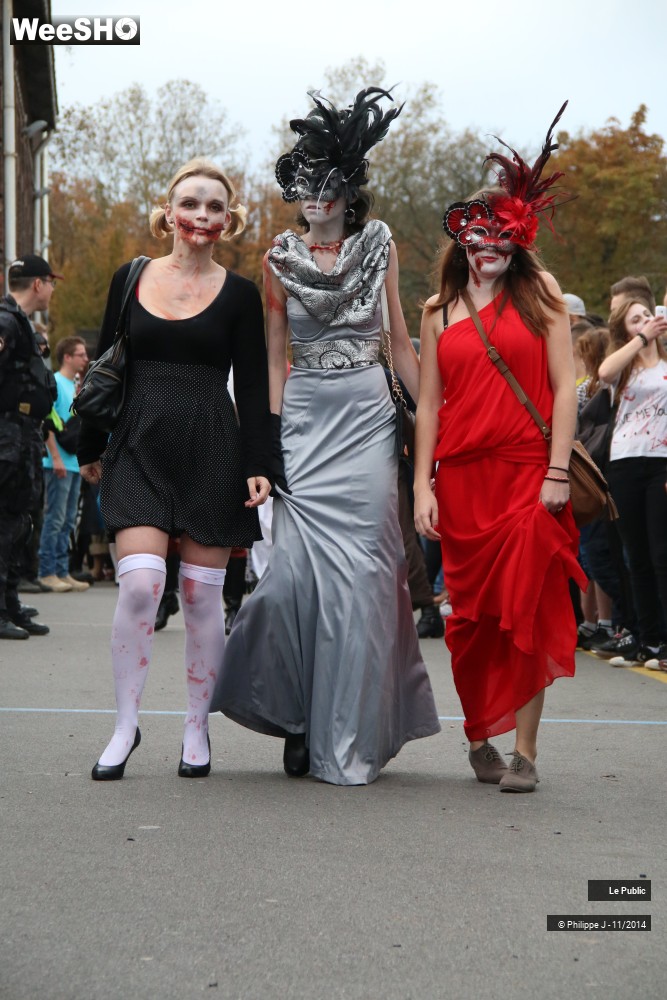 29/44 photos du spectacle Zombie Walk 2014 1