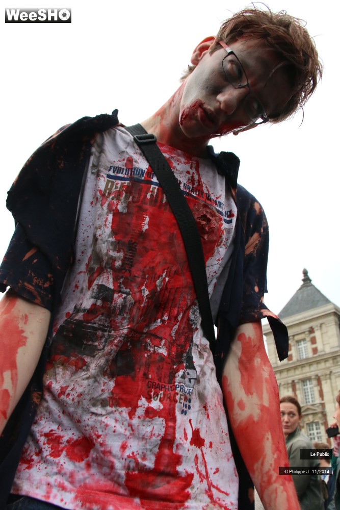 30/44 photos du spectacle Zombie Walk 2014 1