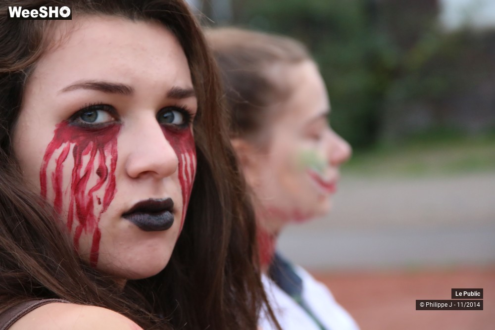 21/46 photos du spectacle Zombie Walk 2014 2