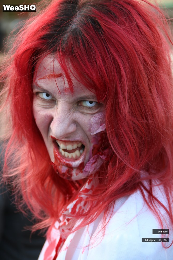31/46 photos du spectacle Zombie Walk 2014 2