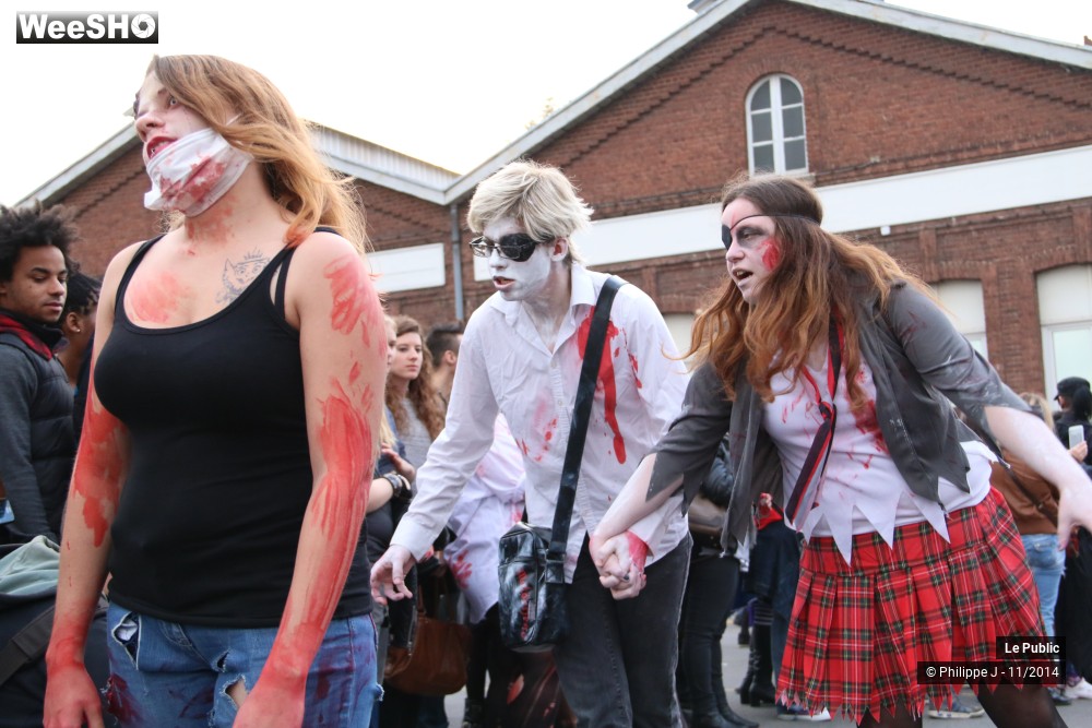 45/46 photos du spectacle Zombie Walk 2014 2