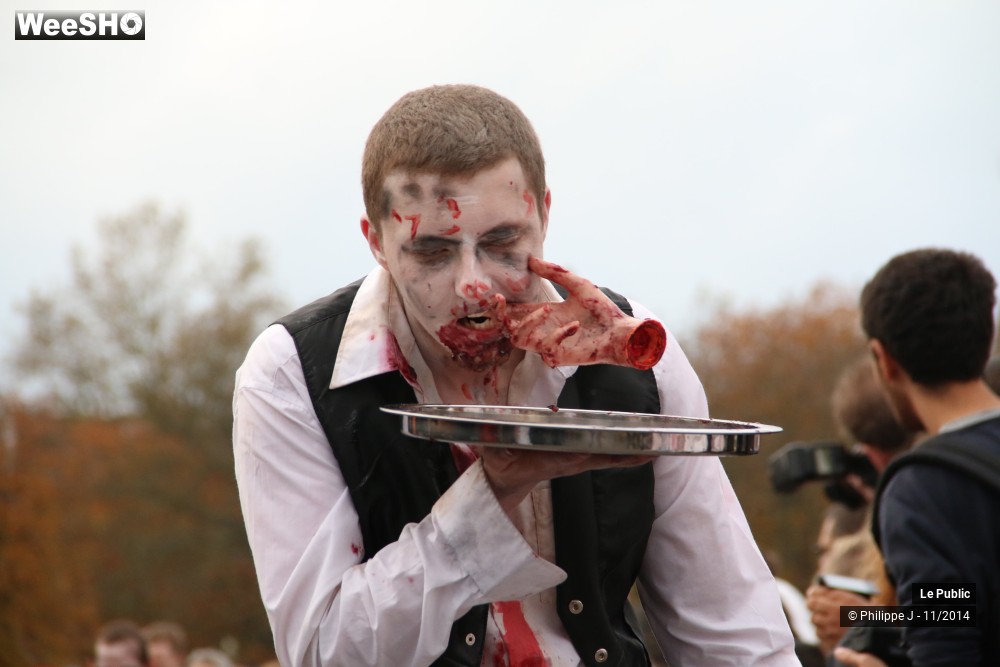 11/48 photos du spectacle Zombie Walk 2014 3