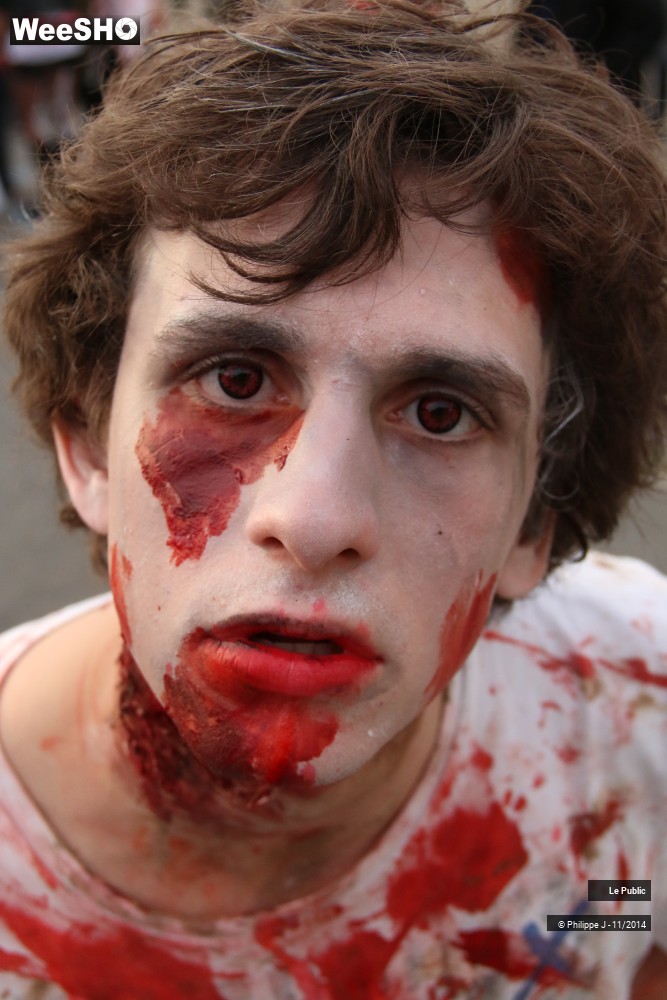 16/48 photos du spectacle Zombie Walk 2014 3