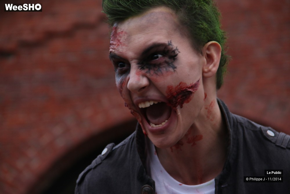 17/48 photos du spectacle Zombie Walk 2014 3