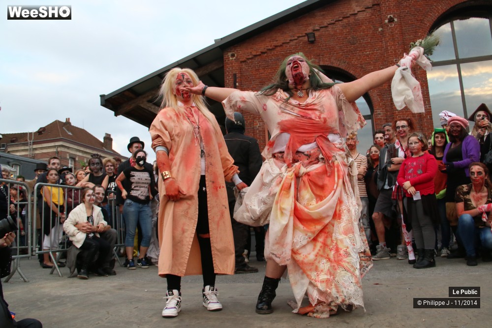 33/48 photos du spectacle Zombie Walk 2014 3