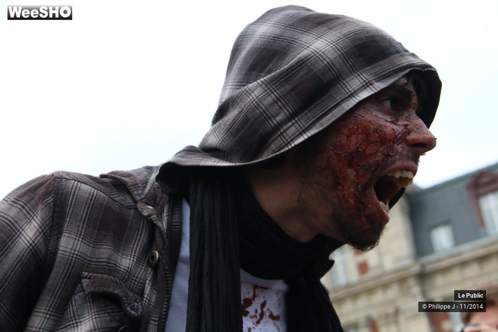 39/48 photos du spectacle Zombie Walk 2014 3