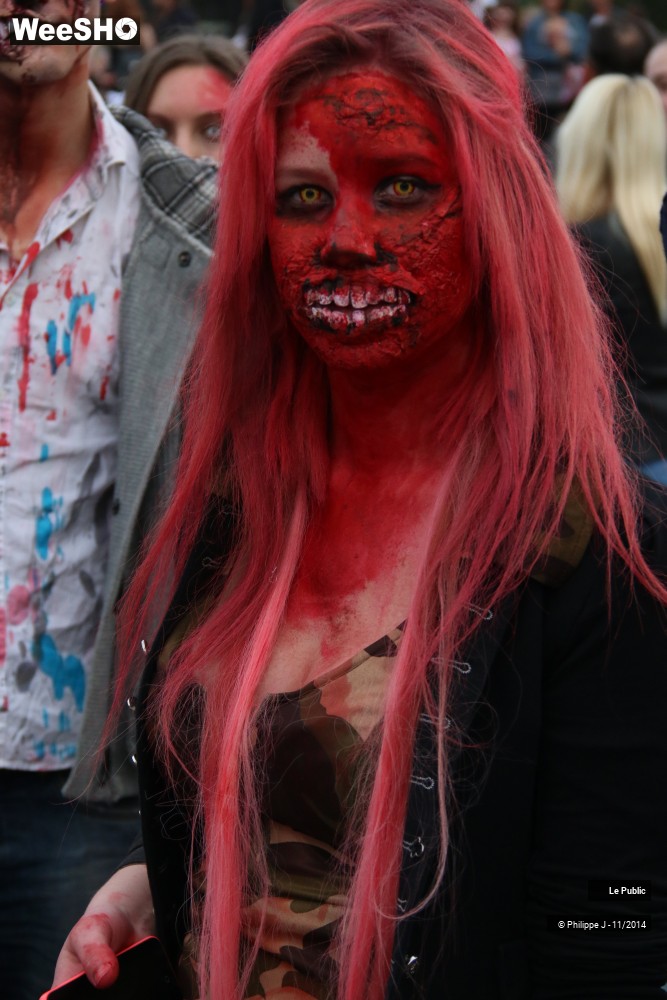 44/48 photos du spectacle Zombie Walk 2014 3