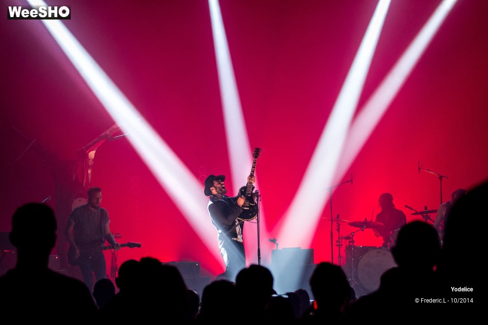 21/29 photos du spectacle Yodelice